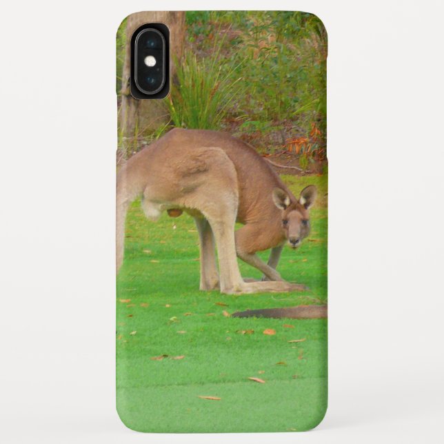 kangaroo Case-Mate iPhone case (Back)