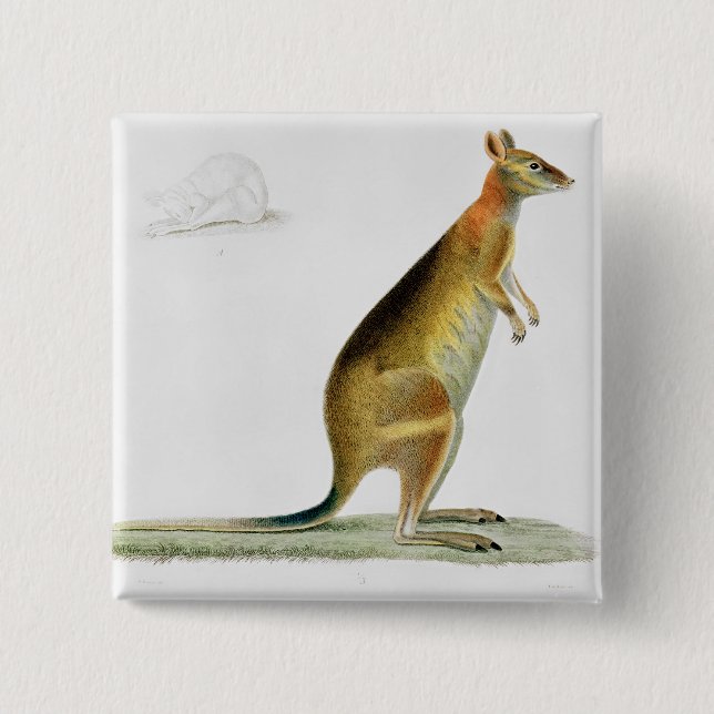 Kangaroo, engraved by Coutant 2 Inch Square Button (Front)