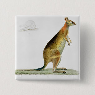 Kangaroo, engraved by Coutant 2 Inch Square Button