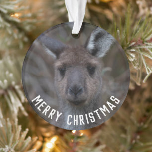 Kangaroo Face Australia Merry Christmas Ornament