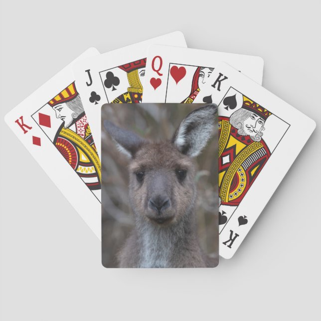 Kangaroo Face  Playing Cards (Back)