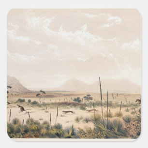 Kangaroo Hunt Square Sticker