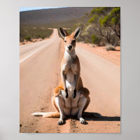 Kangaroo in the Outback