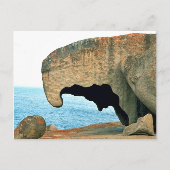 Kangaroo Island Postcard (Front)
