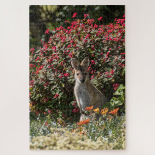 Kangaroo Jigsaw Puzzle
