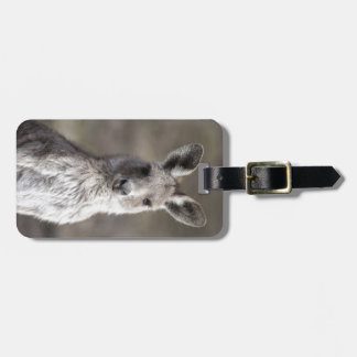 Kangaroo Luggage Tag