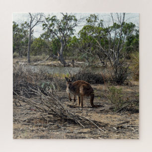 Kangaroo Meanwhile At The Billabong, Jigsaw Puzzle
