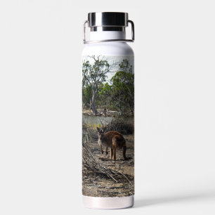 Kangaroo, Meanwhile At The Billabong,   Water Bottle