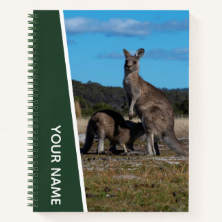 Kangaroo Mother and Baby in Australia, Green Notebook