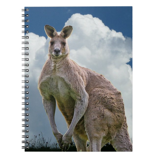 Kangaroo Notebook (Front)