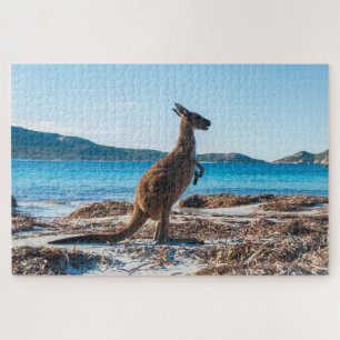 Kangaroo on the Beach in Lucky Bay, 1014 pieces Jigsaw Puzzle