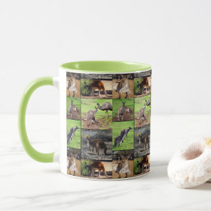 Kangaroo Photo Collage , Mug