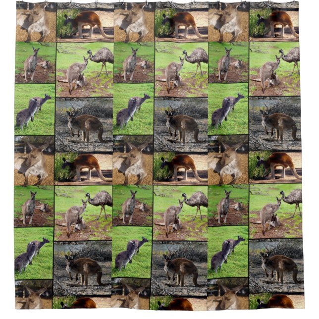 Kangaroo Photo Collage, Rideau De Douche. (Devant)