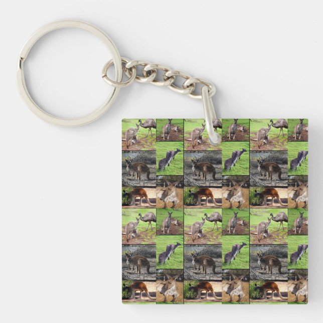 Kangaroo Picture Collage, (Devant)
