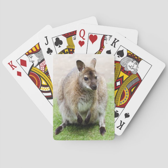 Kangaroo Playing Cards (Back)