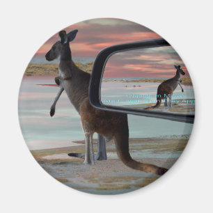 Kangaroo Sea Breezes Illusion Art, Magnet