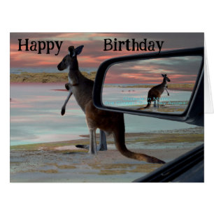 Kangaroo Seaside Breezes,