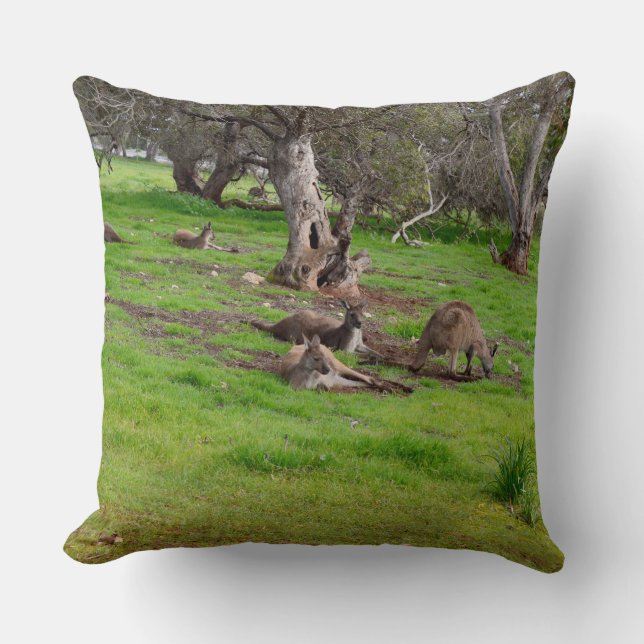 Kangaroo Siesta, Gros Coussin À Throw. (Recto)
