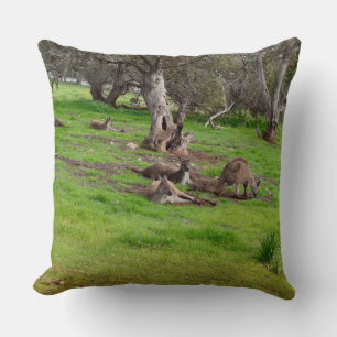 Kangaroo Siesta, Large Throw Cushion. Pillow