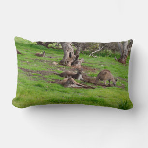 Kangaroo Siesta, Lumbar Cushion. Pillow
