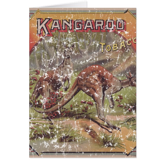 Kangaroo Tobacco 1900 (Devant)