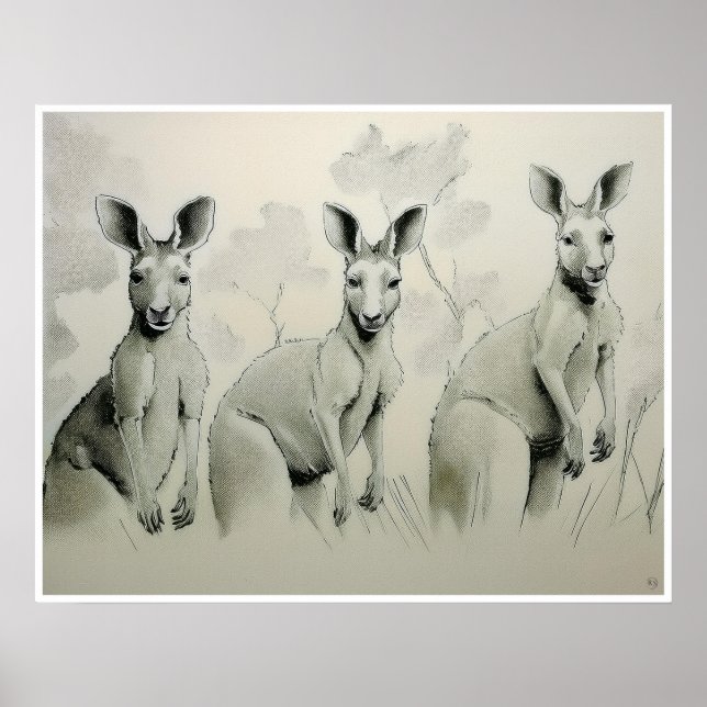 Kangaroos Drawing - Art Print  (Front)
