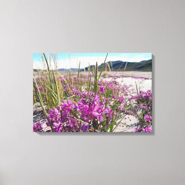 Kangerlussuaq Greenland Canvas Print (Front)