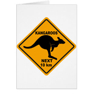 Kangourous 10 prochains kilomètres