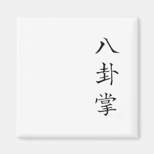 Kanji Characters Chinese Text Baguazhang Magnet