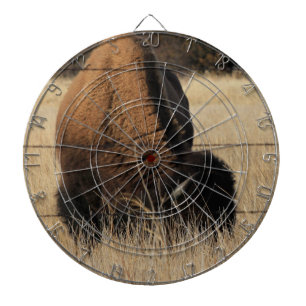 Kansas Buffalo in a Pasture DART BOARD
