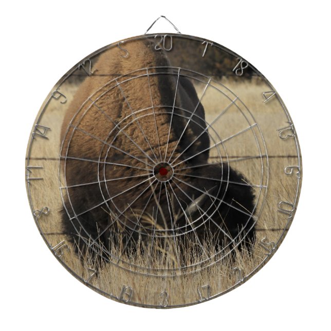 Kansas Buffalo in a Pasture  DART BOARD (Front)