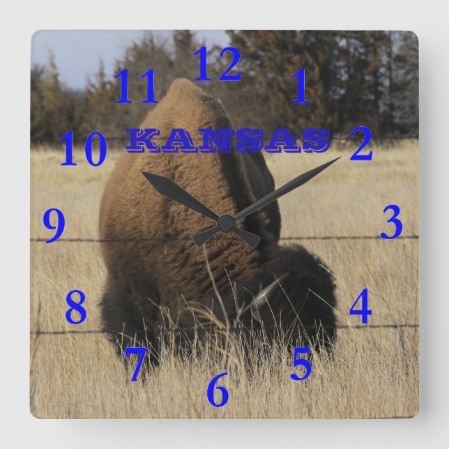Kansas Buffalo Square Wall Clock (Front)