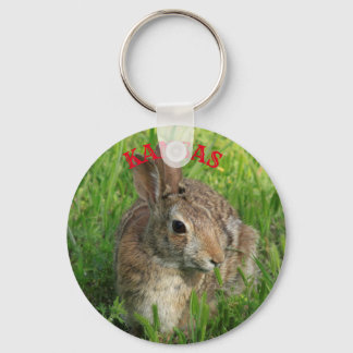 Kansas Bunny Rabbit Key Chain