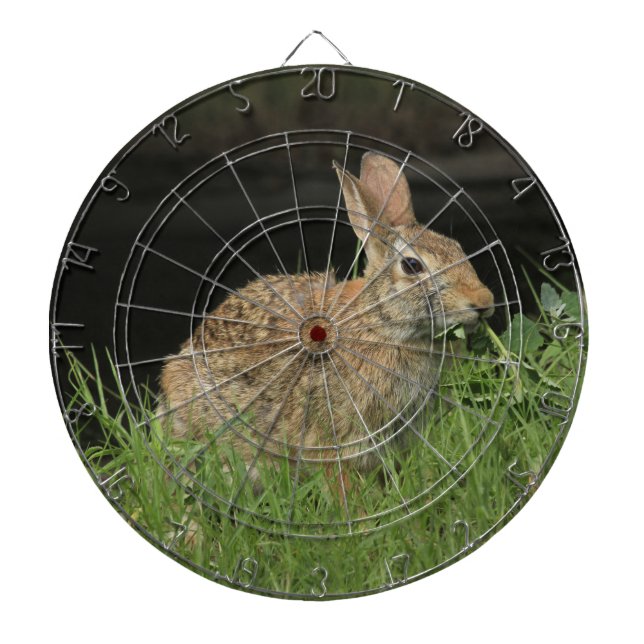 Kansas Bunny Rabbit ProfiledInk Dart Board (Front)