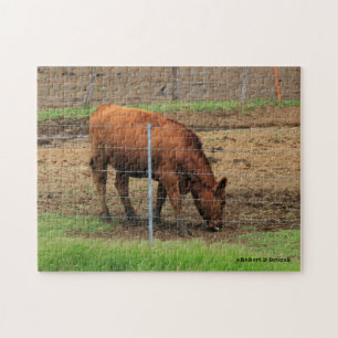 Kansas Country Cow Puzzle