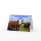 KANSAS COUNTRY COW'S Card