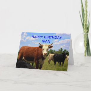 KANSAS COUNTRY COW'S Card