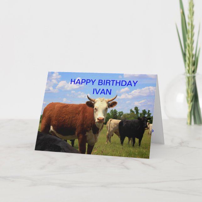 KANSAS COUNTRY COW'S Card (Front)