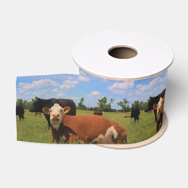 Kansas Country Cow's Ribbon Grosgrain Ribbon (Spool)