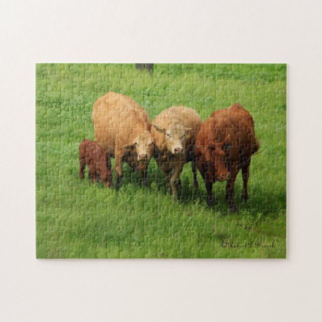 Kansas Cows in a Pasture PUZZLE (Horizontal)