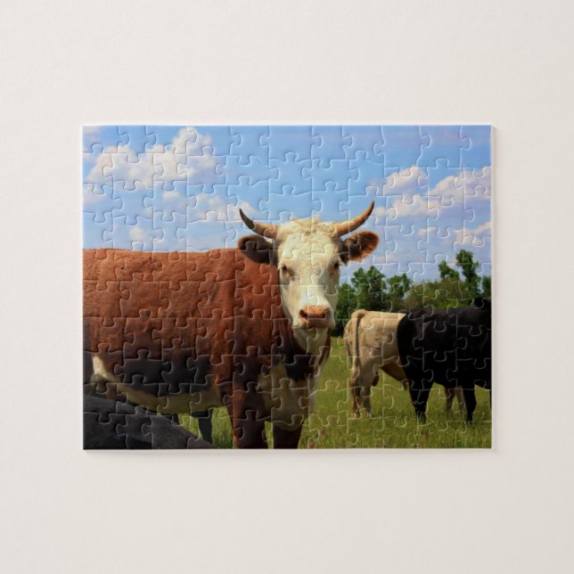 KANSAS COW'S Puzzle (Horizontal)