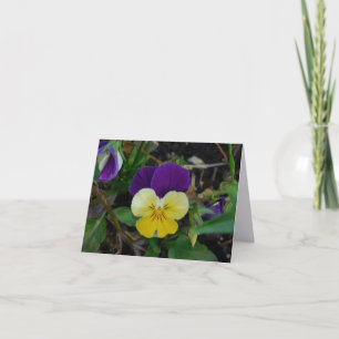 Kansas Dawn Folded Note Card