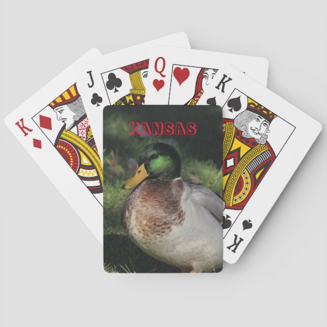 Kansas Drake Mallard Playing Cards (Back)