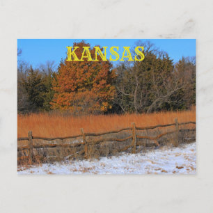 Kansas Fall/Winter Landscape Post Card. Postcard