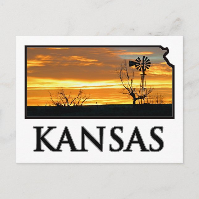 Kansas Farm Windmill Postcard (Front)