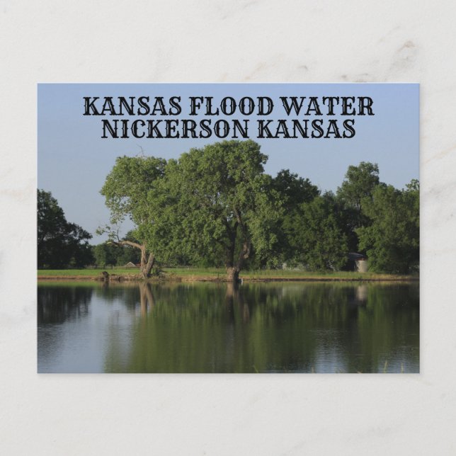 Kansas Flood Water Nickerson Kansas Post Card (Front)