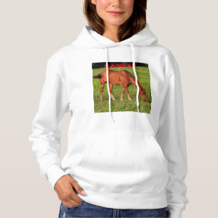 Kansas Horse in a Pasture Woman's Hoodie