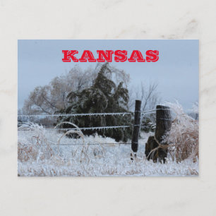 Kansas Icy Fence Post Card