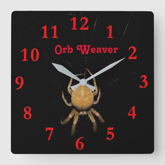 Kansas Orb Weaver  Square Clock (Front)