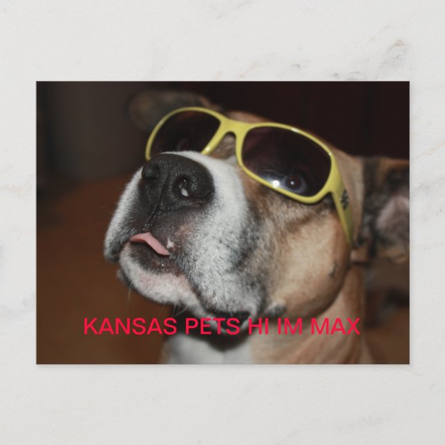 KANSAS PETS IM MAX POSTCARD (Front)